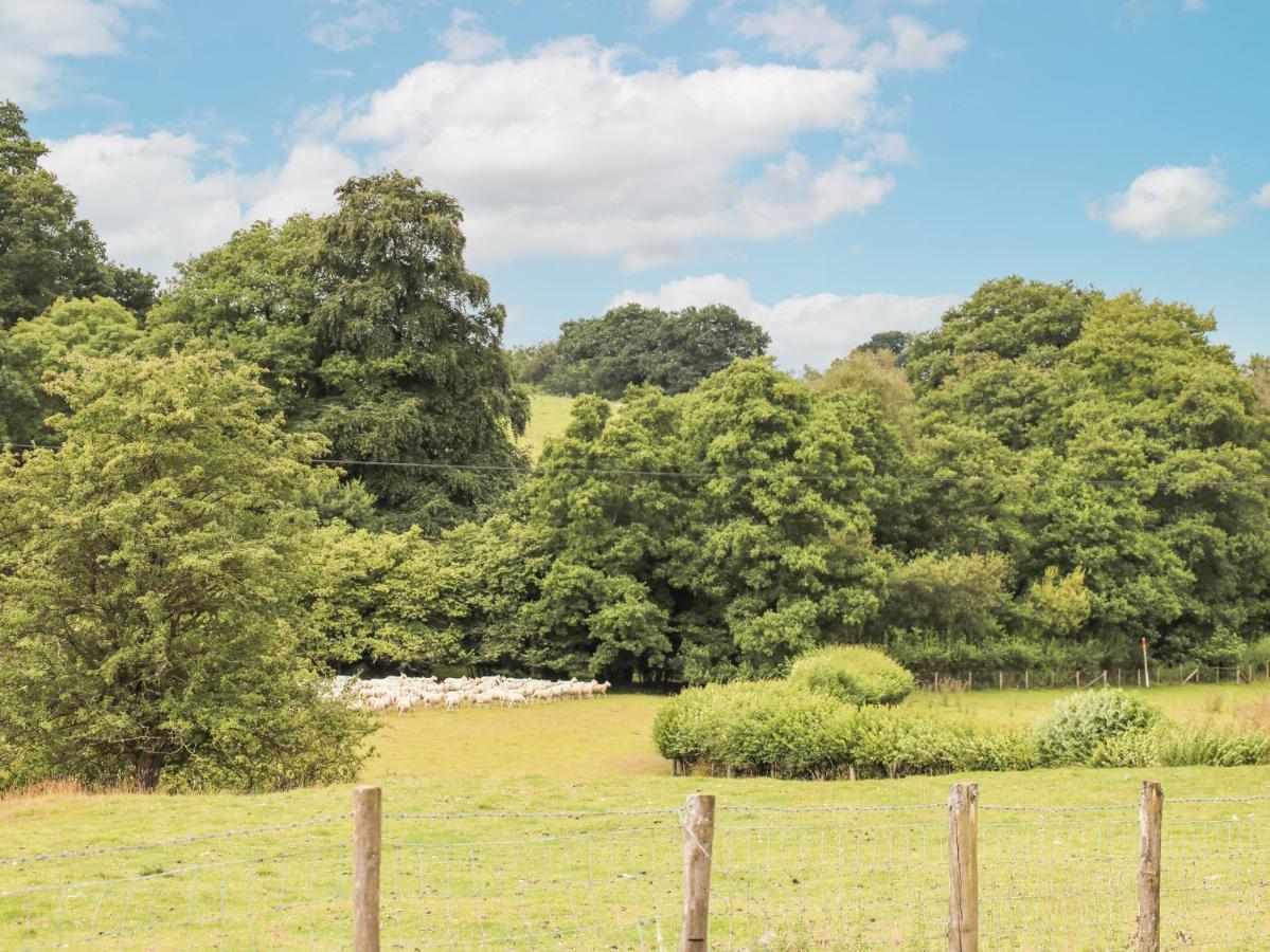 Holly Farm Cottage Newbridge on Wye Dış mekan fotoğraf